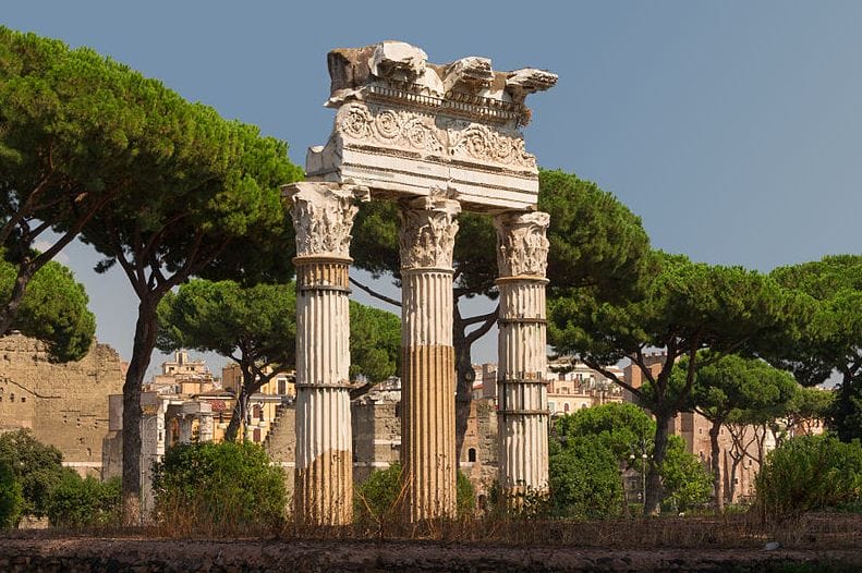 A picture of the Temple of Venus Genitrix with columns