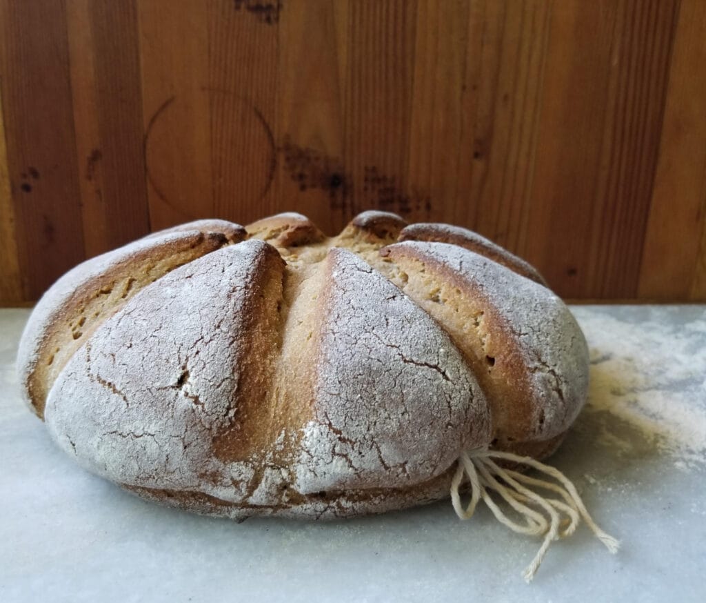 Roman Bread - Panis Quadratus